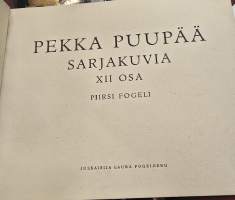 Pekka Puupää n.o 12