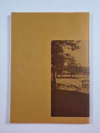 Juttua tulie ku turki hijast