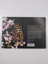 Mikä ötökkä? Lasten oma ötökkäkirja