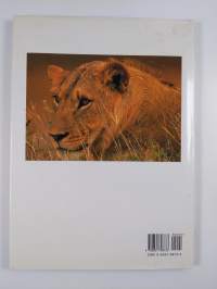 Big Cats - A Portrait of the Animal World