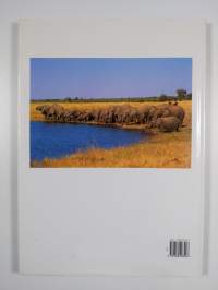 Elephants - A Portrait of the Animal World