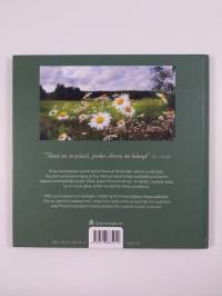 Tämä on se päivä : tarinoita uskosta ja elämästä