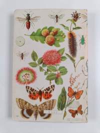 Hyönteisiä värikuvina