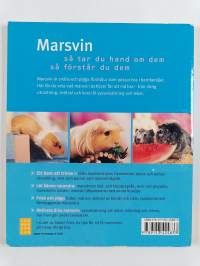 Marsvin : lycklig och frisk