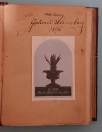 Kolme muskettisoturia I-II. ( Klassikko, seikkailukirjallisuus )