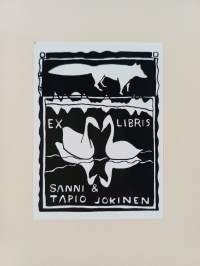 Kirjeitä niille jotka ehkä elävät