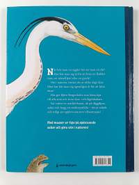 Hur ser man djur? : en upptäckarbok för nyfikna