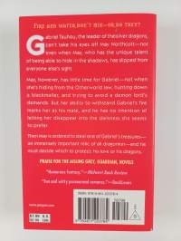 Playing with Fire - A Novel of the Silver Dragons