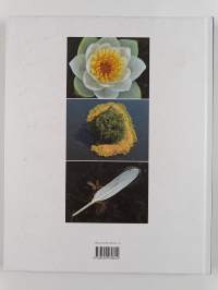 Lapuan joki = Lappo å = The River = Der Fluss