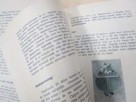 Evinrude - Sigfrid Pihlgren Helsingfors -perusteellinen Evinrude-perämoottorien esittelykirja vuodelta 1913, ruotsinkielinen