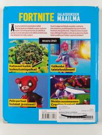 Fortnite Battle Royale : salaisuuksien maailma
