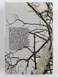 Myrsky Koillismaassa