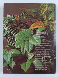 Kauneimmat huonekasvimme