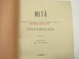 Mitä nuorisoseurat ovat vaikuttaneet Etelä-Karjalassa