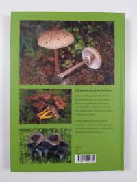 Sienet ja sieniherkut