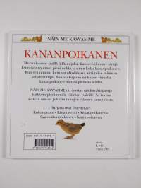 Kananpoikanen