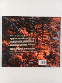 Imatra : Kaupunki rajalla