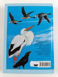 Peukaloisen retket villihanhien seurassa