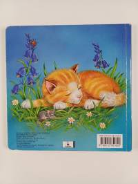 Kisuliinin seikkailu