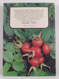 Mihin marjamme kelpaavat