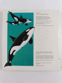 Valaat : merten mahtavat jättiläiset : jännittävä toimintakirja