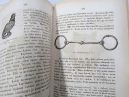 Suomalais-ugrilaisen muinaistutkinnon alkeita 1875, ex Tabe Slioor kotikirjasto