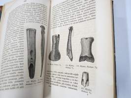 Suomalais-ugrilaisen muinaistutkinnon alkeita 1875, ex Tabe Slioor kotikirjasto