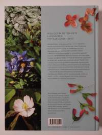 Suomalainen metsäpuutarha