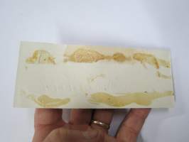 Atlanta - Muodikkaitten herrojen uudet rypistymättömät solmiot -hintalappu / tuotetietolappu, merkin valmistaja Herman Mattsson Korkokuvapaino &amp; Pussitehdas, Vaasa