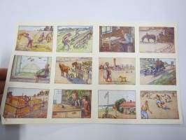 Ainekirjoitus- / aihemerkkiarkki (kansakoulu) -opettaja jakoi oppilaille, jotka sitten kirjoittivat annetun kuva-aiheen mukaisesti