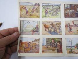 Ainekirjoitus- / aihemerkkiarkki (kansakoulu) -opettaja jakoi oppilaille, jotka sitten kirjoittivat annetun kuva-aiheen mukaisesti