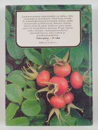 Mihin marjamme kelpaavat