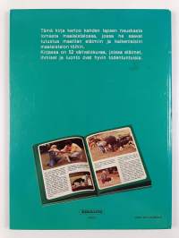 Lomalla maalaistalossa