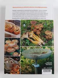 Parhaat ruokasienet ja maukkaimmat sieniherkut