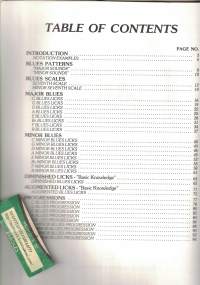 Blues Guitar Licks  (kitara)