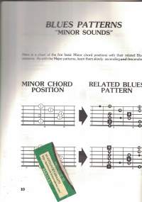 Blues Guitar Licks  (kitara)