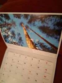 Vuosikalenteri 2025. Seinäjoen Energia. Kuvia niin puista, viheralueista kuin kaupunki kuvaakin