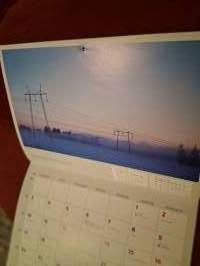 Vuosikalenteri 2025. Seinäjoen Energia. Kuvia niin puista, viheralueista kuin kaupunki kuvaakin