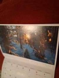 Vuosikalenteri 2025. Seinäjoen Energia. Kuvia niin puista, viheralueista kuin kaupunki kuvaakin