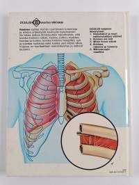 Ihminen : rakenne ja toiminta