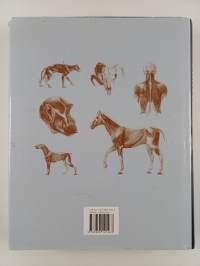 Anatomian piirustusopas : ihminen, eläin, vertaileva anatomia