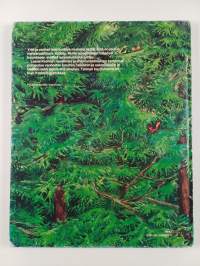 Metsänpeitto : kertomus kadonneista