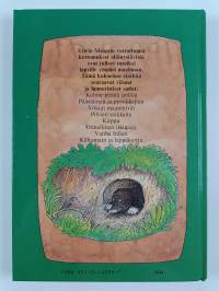 Kolme pientä pöllöä