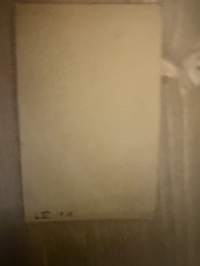 Valokuvaamo Hilja Häggström, Lahti -visiittikorttivalokuva / visitcard photo - cdv