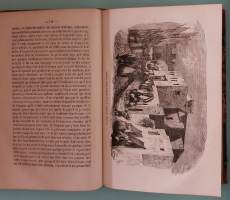Voyages de Gulliver.  ( Keräilyharvinaisuudet 1800-luku, kohtalaisen harvinainen, French 1846 illustrated edition, half leather binding, )
