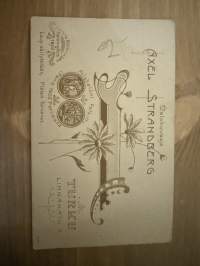 Valokuvaamo Axel Strandberg, Turku -visiittikorttivalokuva / visitcard photo - cdv