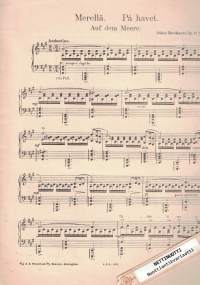 Pianosovitus: Merellä - Auf dem Meere