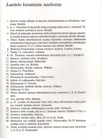 Ompelu- ja nauhakoristeita