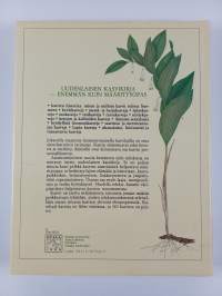 Maarianheinä, mesimarja ja timotei : Suomen luonnonvaraisia kasveja