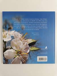 Rakkautta ja iloa sinulle